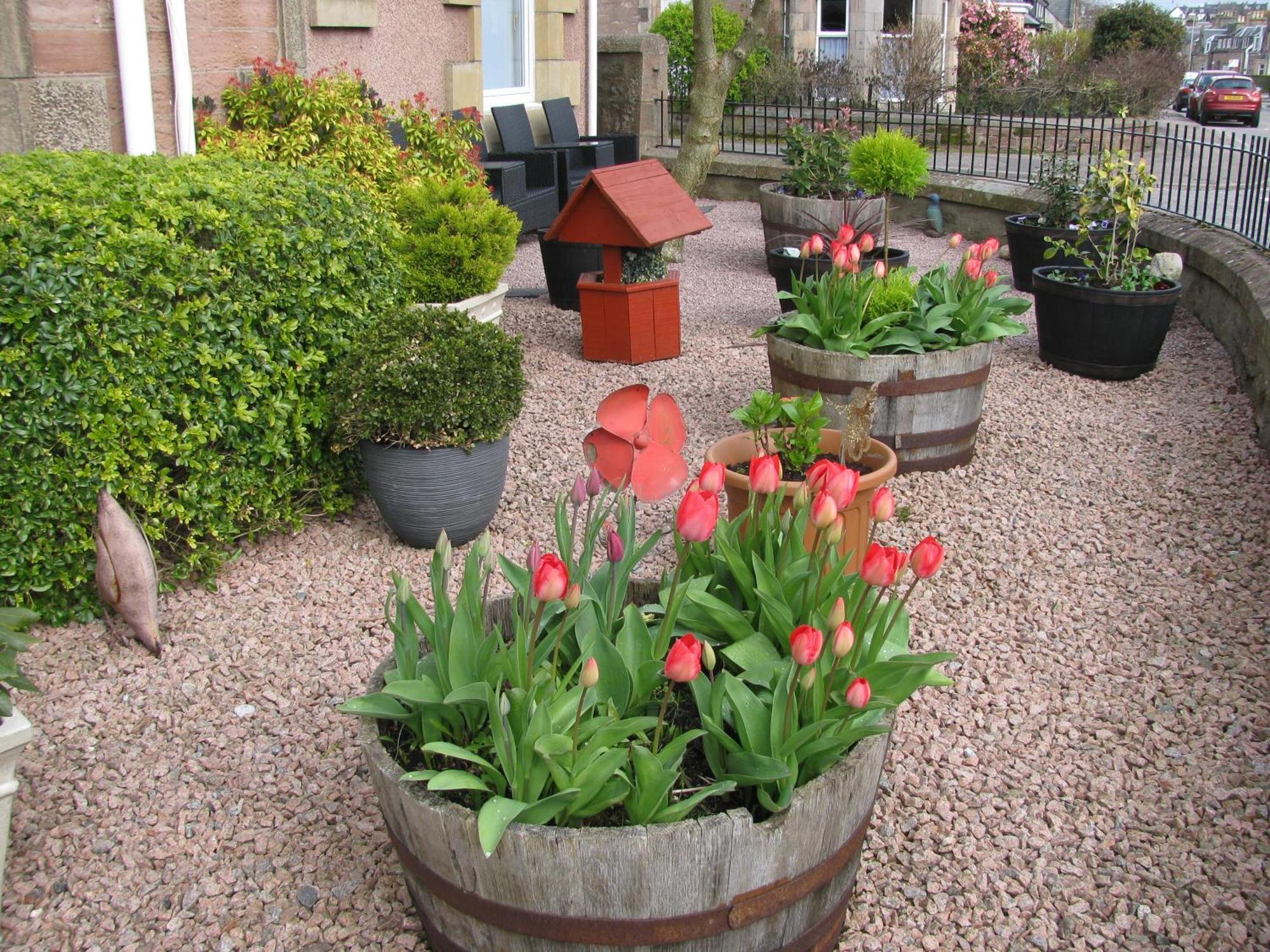 Fairfield Townhouse Guest House Inverness Extérieur photo
