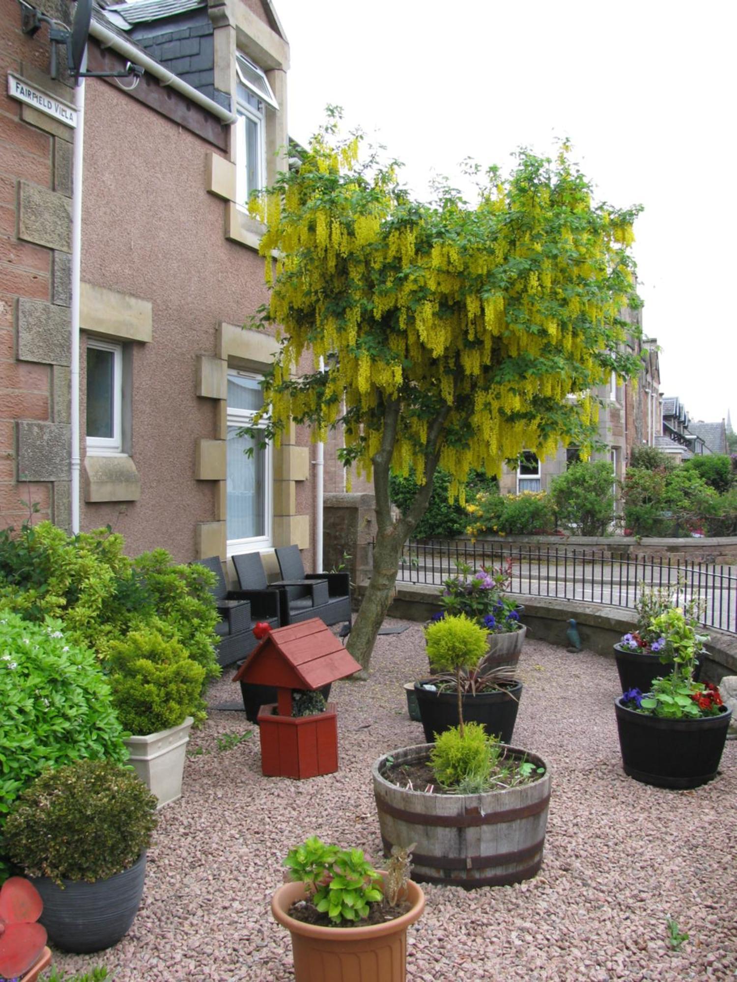 Fairfield Townhouse Guest House Inverness Extérieur photo